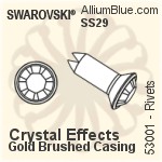 Swarovski Rivet (53005), Gold Plated Casing, With Stones in SS34 - Colors