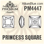 PM4447 - Princess Square