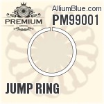 PM99001 - Jump Ring