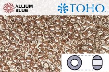 TOHO ラウンド Seed ビーズ (RR8-1071) 8/0 ラウンド Medium - Inside-カラー Crystal/Antique Plum-Lined