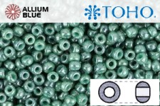 TOHO Round Seed Beads (RR3-1207) 3/0 Round Extra Large - Marbled Opaque Turquoise/Blue