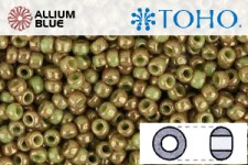 TOHO Round Seed Beads (RR3-1209) 3/0 Round Extra Large - Marbled Opaque Avocado/Pink
