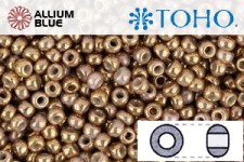 TOHO Round Seed Beads (RR11-1700) 11/0 Round - Gilded Marble White