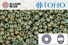 TOHO Round Seed Beads (RR8-1703) 8/0 Round Medium - Gilded Marble Turquoise