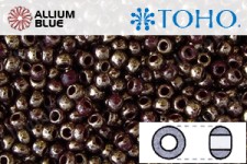 TOHO Round Seed Beads (RR3-1705) 3/0 Round Extra Large - Gilded Marble Brown