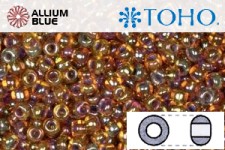 TOHO Round Seed Beads (RR15-1825) 15/0 Round Small - Inside-Color Rainbow Hyacinth/Opaque Purple-Lined