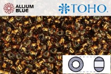 TOHO Round Seed Beads (RR3-2152S) 3/0 Round Extra Large - Silver-Lined Sasparilla