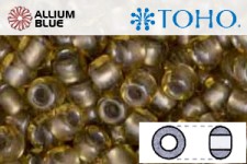 TOHO ラウンド Seed ビーズ (RR6-286) 6/0 ラウンド Large - Silver-Lined Pale Amber