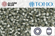 TOHO ラウンド Seed ビーズ (RR8-29AF) 8/0 ラウンド Medium - Silver-Lined Frosted Black Diamond