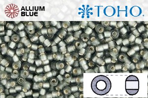 TOHO Round Seed Beads (RR8-29BF) 8/0 Round Medium - Silver-Lined Frosted Gray