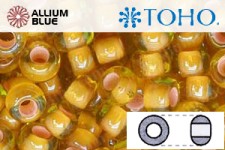 TOHO ラウンド Seed ビーズ (RR11-302) 11/0 ラウンド - Inside-カラー Jonquil/Apricot-Lined