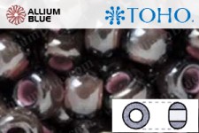 TOHO ラウンド Seed ビーズ (RR6-367) 6/0 ラウンド Large - Inside-カラー Lustered Black Diamond/Pink-Lined