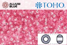 TOHO Round Seed Beads (RR6-38) 6/0 Round Large - Silver-Lined Pink