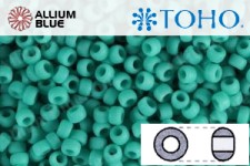TOHO Round Seed Beads (RR8-55F) 8/0 Round Medium - Opaque-Frosted Turquoise
