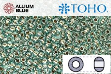 TOHO Round Seed Beads (RR6-990) 6/0 Round Large - Gold-Lined Aqua