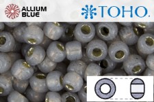 TOHO Round Seed Beads (RR15-PF2115) 15/0 Round Small - PermaFinish - Silver-Lined Milky Gray