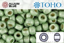 TOHO ラウンド Seed ビーズ (RR11-PF560F) 11/0 ラウンド - PermaFinish Lime Metallic Matte