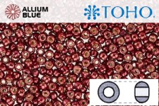 TOHO ラウンド Seed ビーズ (RR8-PF564) 8/0 ラウンド Medium - PermaFinish - Galvanized Brick Red