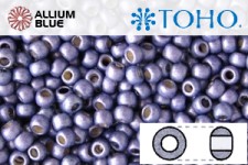 TOHO ラウンド Seed ビーズ (RR11-PF567F) 11/0 ラウンド - PermaFinish - Frosted Metallic Polaris