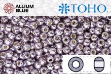 TOHO Round Seed Beads (RR6-PF568) 6/0 Round Large - PermaFinish - Galvanized Gun Metal Gray