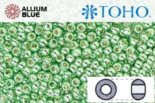 TOHO ラウンド Seed ビーズ (RR6-PF570) 6/0 ラウンド Large - PermaFinish - Galvanized Mint Green