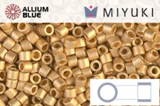 MIYUKI Delica® Seed Beads (DBM0010) 10/0 Round Medium - Black