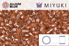 MIYUKI Delica® Seed Beads (DB2184) 11/0 Round - Duracoat Silver Lined Semi-Matte Bramble