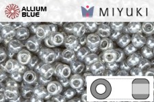 MIYUKI Round Rocailles Seed Beads (RR11-0178) 11/0 Small - Gray Luster