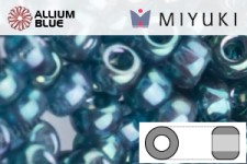 MIYUKI Round Rocailles Seed Beads (RR11-0314) 11/0 Small - 0314