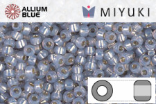 MIYUKI丸シードビーズ (RR11-0576) 丸小ビーズ 11/0 - オパール銀引着色