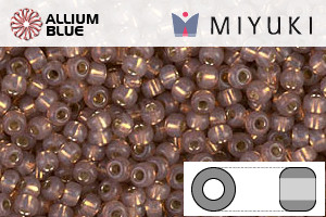 MIYUKI Round Rocailles Seed Beads (RR11-0641) 11/0 Small - 0641