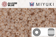 MIYUKI Round Rocailles Seed Beads (RR11-2370) 11/0 Small - 2370