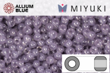 MIYUKI Round Rocailles Seed Beads (RR11-2377) 11/0 Small - 2377