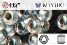 MIYUKI Round Rocailles Seed Beads (RR11-3192) 11/0 Small - 3192