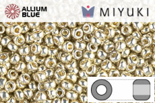 MIYUKI Round Seed Beads (RR11-4201) - Duracoat Galvanized Silver
