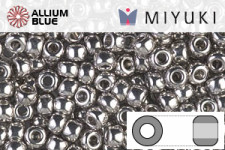 MIYUKI Round Rocailles Seed Beads (RR8-0194) 8/0 Large - Palladium Plated
