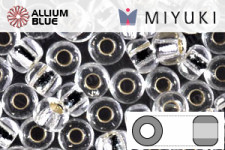 MIYUKI Delica® Seed Beads (DBL0200) 8/0 Round Large - Opaque White