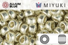 MIYUKI Round Rocailles Seed Beads (RR6-0402) 6/0 Extra Large - Opaque White