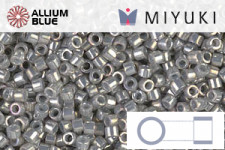 MIYUKI Delica® Seed Beads (DB0613) 11/0 Round - Dyed Silver Lined Dark Gray