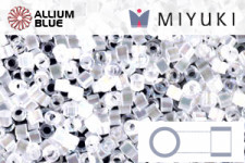 MIYUKI Delica® Seed Beads (DB0603) 11/0 Round - Dyed Silver Lined Brick Red